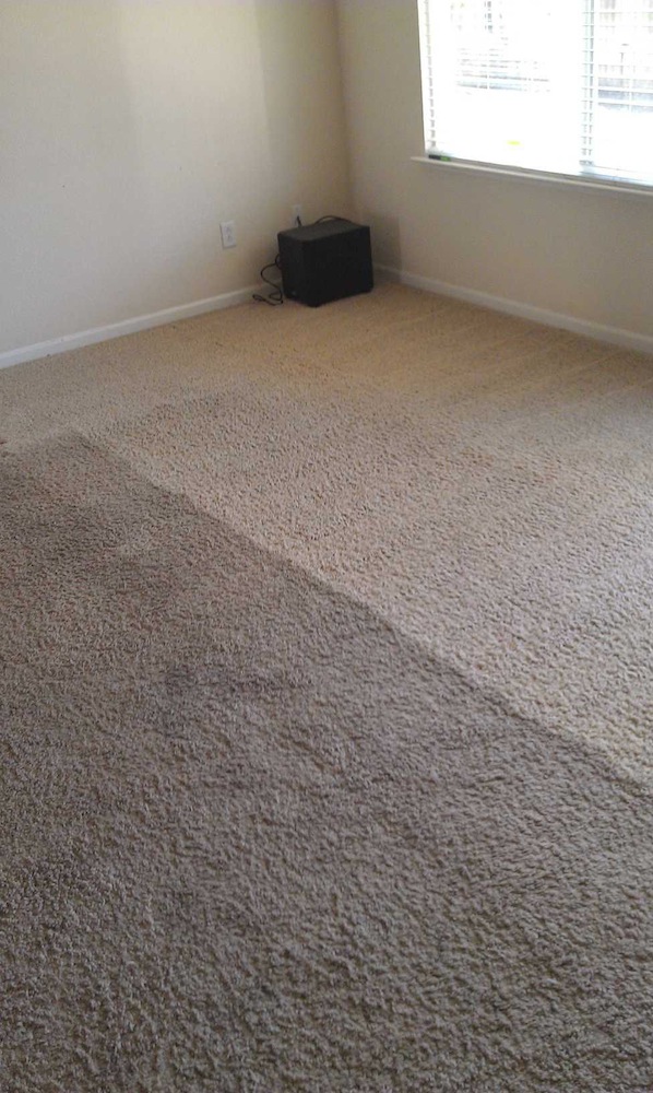 Carpet-Cleaning